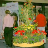 2008: Netzwerke nutzen!
