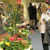 2008: Netzwerke nutzen!